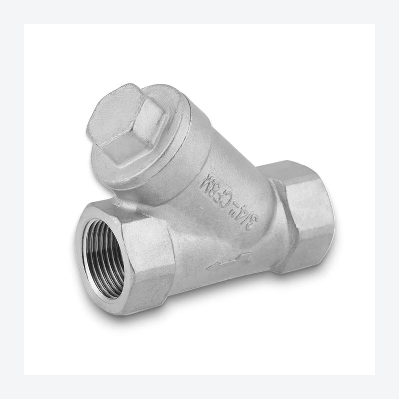 Filtro Y inoxidable SS316 · 800 psi