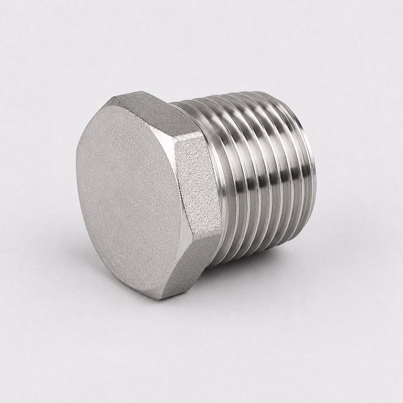 Tapa tornillo inoxidable 304/316 · NPT